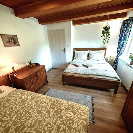 Hortenzia House With Free Parking 公寓 科希策